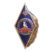 Знак робм ВНИИ ГОЧС